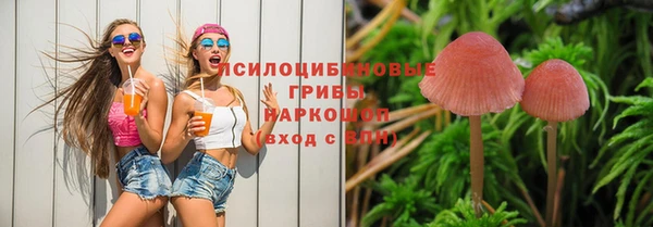 стафф Вязники