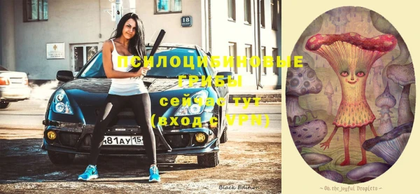 МДМА Горняк