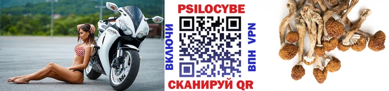 Псилоцибиновые грибы прущие грибы  Петухово 